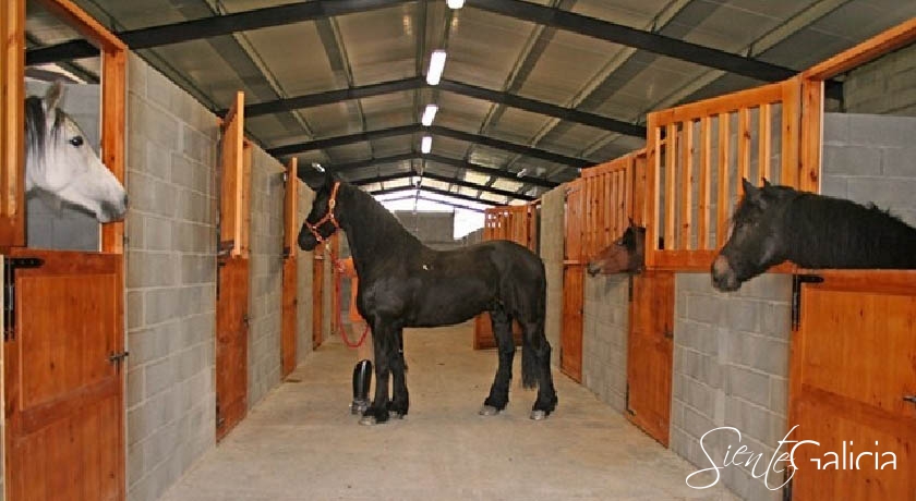 Casa_Felisa_Ribeira_Sacra_Monforte caballos