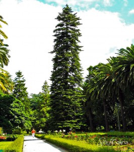 La Perona Alameda Santiago