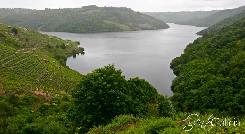 Oca_Augas_Santas_Ribeira_Sacra (16)