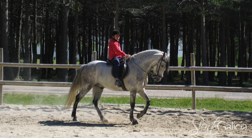 Oca_Manzaneda_Orense Caballos